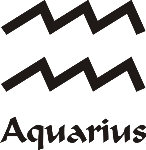 Aquarius Star Sign Vinyl Sticker