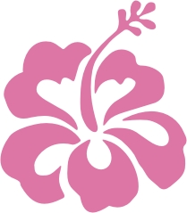 (image for) Vinyl Hibiscus Flower Stickers